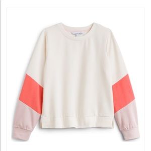 Cupcakes and Cashmere Colorblock Sweater